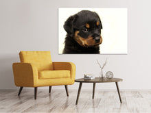Laden Sie das Bild in den Galerie-Viewer, Leinwandbild Rottweiler Welpe zum Verlieben