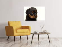 Laden Sie das Bild in den Galerie-Viewer, Leinwandbild Rottweiler Welpe zum Verlieben