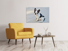 Laden Sie das Bild in den Galerie-Viewer, Leinwandbild Süsse Französische Bulldogge
