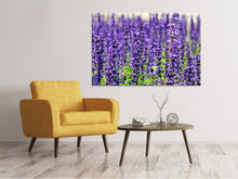 Laden Sie das Bild in den Galerie-Viewer, Leinwandbild XL Lavendel