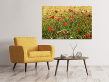 Laden Sie das Bild in den Galerie-Viewer, Leinwandbild Der Mohn im Wind
