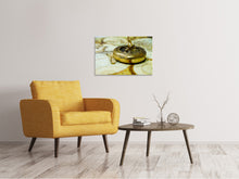 Laden Sie das Bild in den Galerie-Viewer, Leinwandbild Goldener Kompass