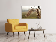 Laden Sie das Bild in den Galerie-Viewer, Leinwandbild Tropfen der Natur