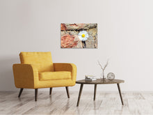 Laden Sie das Bild in den Galerie-Viewer, Leinwandbild Blume in der Wand