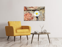 Laden Sie das Bild in den Galerie-Viewer, Leinwandbild Blume in der Wand