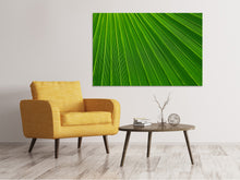 Laden Sie das Bild in den Galerie-Viewer, Leinwandbild Palm Streifen 1