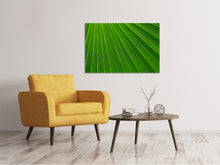 Laden Sie das Bild in den Galerie-Viewer, Leinwandbild Palm Streifen 1