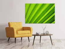 Laden Sie das Bild in den Galerie-Viewer, Leinwandbild Palm Streifen 2
