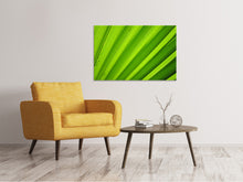 Laden Sie das Bild in den Galerie-Viewer, Leinwandbild Palm Streifen 2