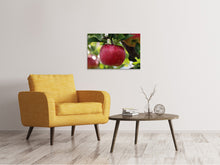 Laden Sie das Bild in den Galerie-Viewer, Leinwandbild Apfel in XXL