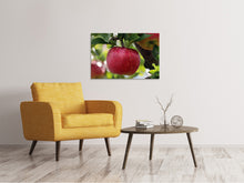 Laden Sie das Bild in den Galerie-Viewer, Leinwandbild Apfel in XXL