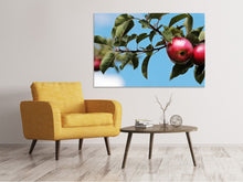 Laden Sie das Bild in den Galerie-Viewer, Leinwandbild Apfel am Baum