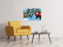 Laden Sie das Bild in den Galerie-Viewer, Leinwandbild Apfel am Baum