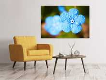 Laden Sie das Bild in den Galerie-Viewer, Leinwandbild Blaue Blume mit Morgentau