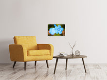 Laden Sie das Bild in den Galerie-Viewer, Leinwandbild Blaue Blume mit Morgentau