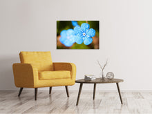 Laden Sie das Bild in den Galerie-Viewer, Leinwandbild Blaue Blume mit Morgentau