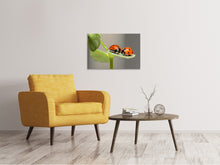 Laden Sie das Bild in den Galerie-Viewer, Leinwandbild 2 Marienkäfer