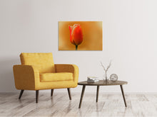 Laden Sie das Bild in den Galerie-Viewer, Leinwandbild Eine Tulpe im Morgentau