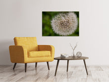 Laden Sie das Bild in den Galerie-Viewer, Leinwandbild Der Löwenzahn in der Natur
