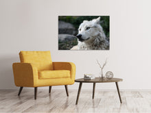 Laden Sie das Bild in den Galerie-Viewer, Leinwandbild Der einsame Wolf