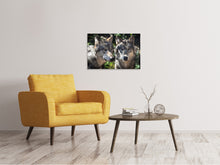 Laden Sie das Bild in den Galerie-Viewer, Leinwandbild 2 Wölfe