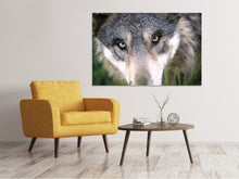 Laden Sie das Bild in den Galerie-Viewer, Leinwandbild Der Wolfs Blick