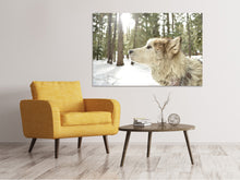 Laden Sie das Bild in den Galerie-Viewer, Leinwandbild Der Alaskan Malamute