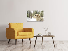 Laden Sie das Bild in den Galerie-Viewer, Leinwandbild Der Alaskan Malamute