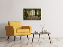 Laden Sie das Bild in den Galerie-Viewer, Leinwandbild Wald Lauf