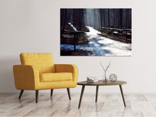 Laden Sie das Bild in den Galerie-Viewer, Leinwandbild Ein Weg im Schnee