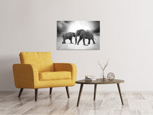 Laden Sie das Bild in den Galerie-Viewer, Leinwandbild 2 Elefanten sw