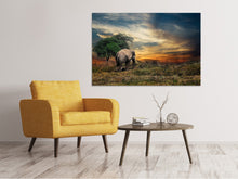 Laden Sie das Bild in den Galerie-Viewer, Leinwandbild Der Elefant im Sonnenuntergang