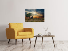 Laden Sie das Bild in den Galerie-Viewer, Leinwandbild Der Elefant im Sonnenuntergang