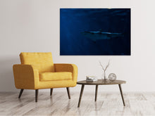 Laden Sie das Bild in den Galerie-Viewer, Leinwandbild Gefährlicher Hai