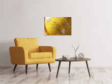 Laden Sie das Bild in den Galerie-Viewer, Leinwandbild Globus XXL