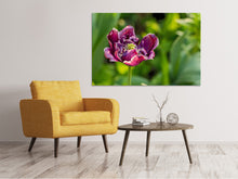 Laden Sie das Bild in den Galerie-Viewer, Leinwandbild Dunkle Tulpe in der Natur