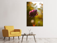 Laden Sie das Bild in den Galerie-Viewer, Leinwandbild Dunkle Tulpen Schönheit