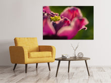 Laden Sie das Bild in den Galerie-Viewer, Leinwandbild Makro Tulpe in rot