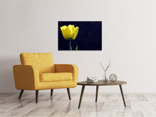 Laden Sie das Bild in den Galerie-Viewer, Leinwandbild Leuchtende Tulpe