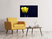 Laden Sie das Bild in den Galerie-Viewer, Leinwandbild Leuchtende Tulpe