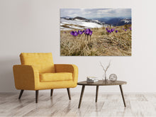 Laden Sie das Bild in den Galerie-Viewer, Leinwandbild Lila Krokus