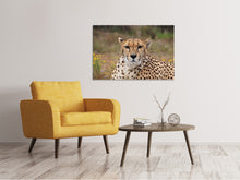 Laden Sie das Bild in den Galerie-Viewer, Leinwandbild Gepard XL