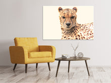 Laden Sie das Bild in den Galerie-Viewer, Leinwandbild Gepard in der Sonne