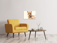 Laden Sie das Bild in den Galerie-Viewer, Leinwandbild Gepard in der Sonne