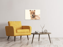 Laden Sie das Bild in den Galerie-Viewer, Leinwandbild Gepard in der Sonne