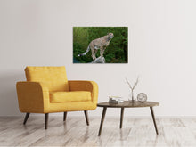 Laden Sie das Bild in den Galerie-Viewer, Leinwandbild Gepard auf dem Sprung