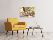 Laden Sie das Bild in den Galerie-Viewer, Leinwandbild Sonnender Gepard