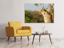 Laden Sie das Bild in den Galerie-Viewer, Leinwandbild Gepard in der Natur