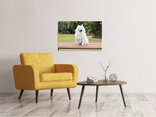 Laden Sie das Bild in den Galerie-Viewer, Leinwandbild Der Spitz als Junghund
