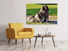 Laden Sie das Bild in den Galerie-Viewer, Leinwandbild 2 Wolfsspitz